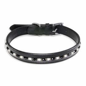 Auf dem Bild ist ein Hundehalsband als Lederhalsband für...