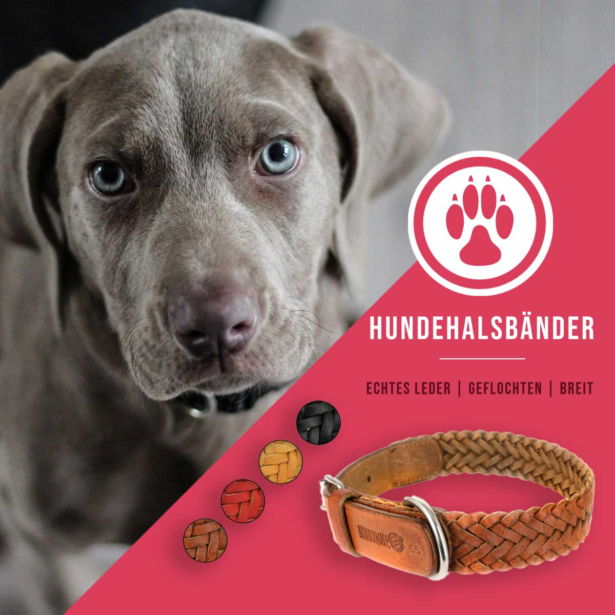 Mehrfarbiges, geflochtenes Lederhalsband fr Hunde in Premium-Qualitt, leicht und komfortabel gestaltet.