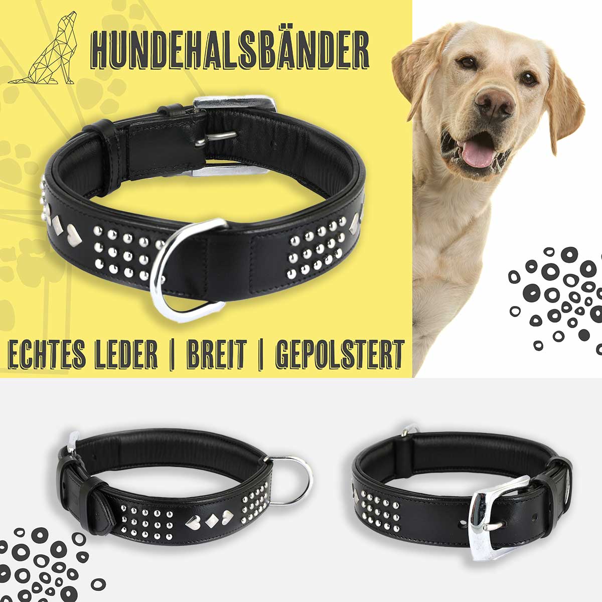 Schwarzes, weich gepolstertes Lederhalsband fr Hunde in Premium-Qualitt mit Nieten. Ideal fr Komfort und Stil.