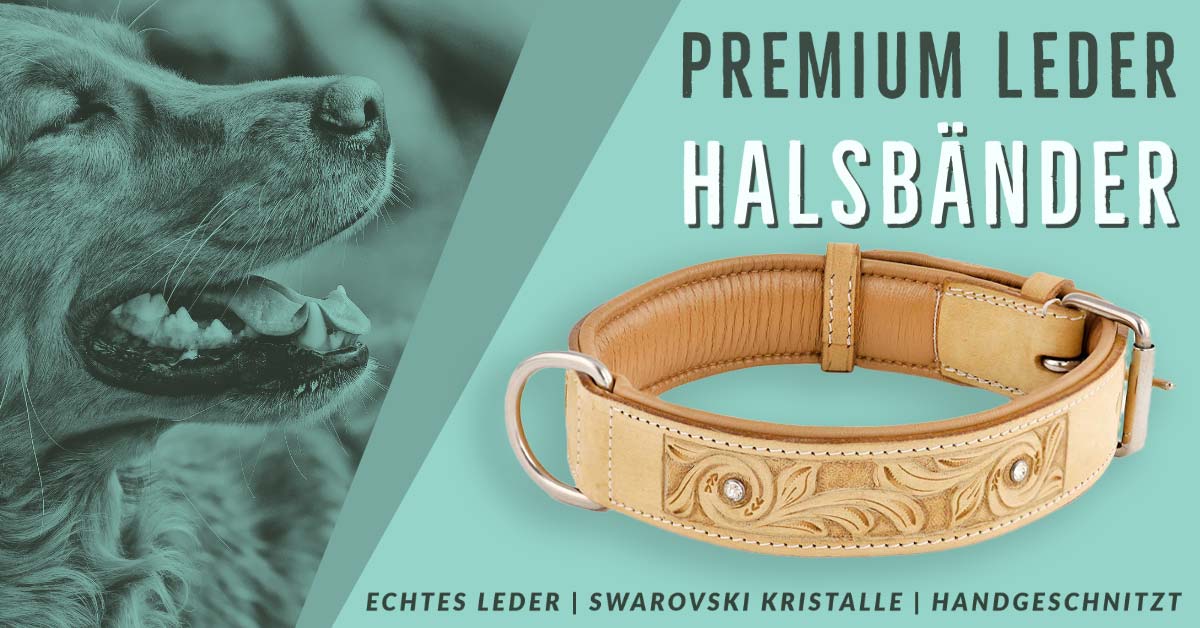 Beiges Lederhalsband in Premium-Qualitt, weich gepolstert und handgeschnitzt, ideal fr maximalen Komfort und stilvolle Eleganz bei Hunden.